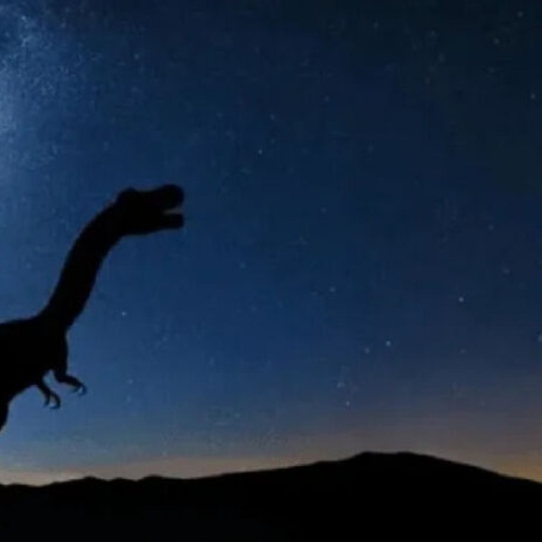 600x600_planetario_3