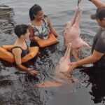 dXO3hKgTa9SZrvhEToFOo1Vzqwah6xznzGnTiaFl