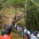 Design sem nome (85)