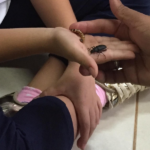 Design sem nome (87)